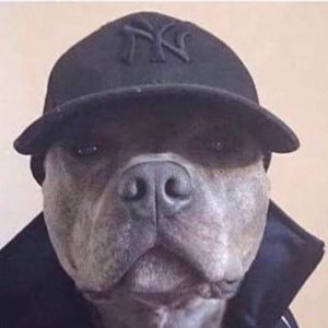 Meet your Posher, Danny